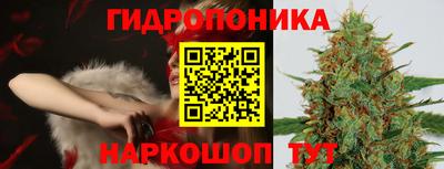 a pvp Рязань